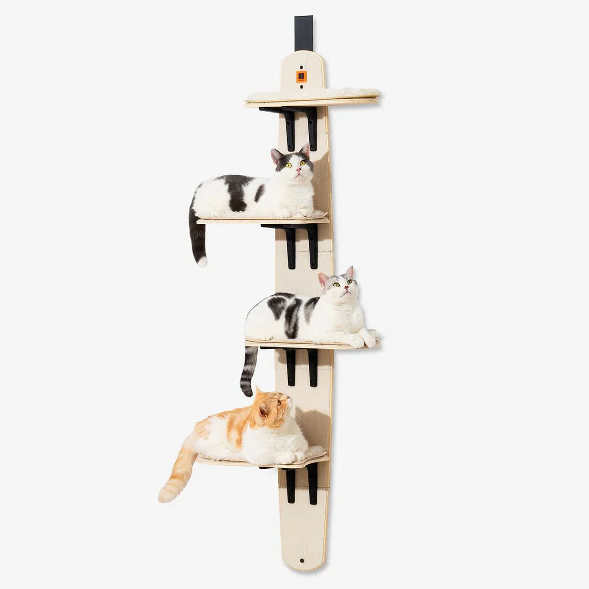🐱 Door Cat Tree