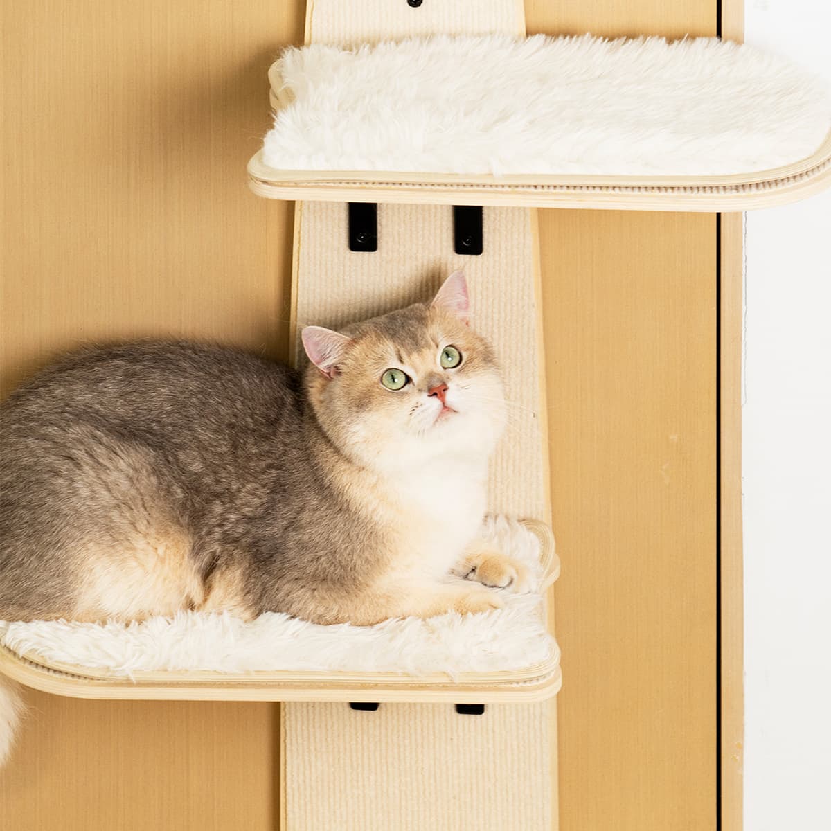 🐱 Door Cat Tree